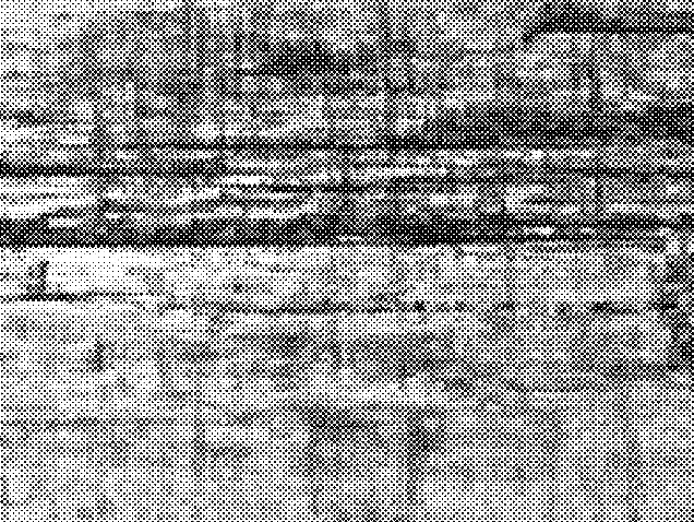 70 Vintage Halftone Distressed Texture Dotted Background - PNG & AI Vector Design Elements Bundle